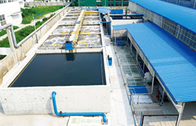 Ƥ����ˮ̎��